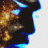 Janus VI