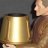Odo's_Bucket