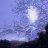 Crystalline Entity