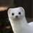 wonderstoat